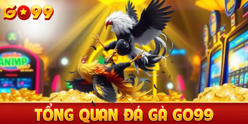 Tổng quan đá gà Go99