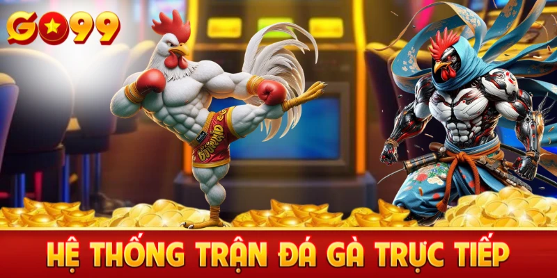 Hệ thống đá gà trực tiếp